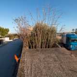 Per raggiungere il �borgo� � necessario percorrere la complanare della 16, prolungamento della �japigina� via Gentile